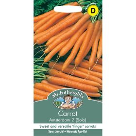 Carrot Amsterdam 2 (Solo) Seeds